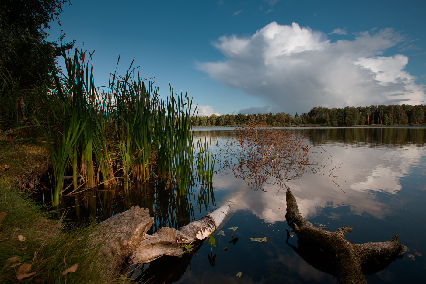 Паўднёвае Заялоўе